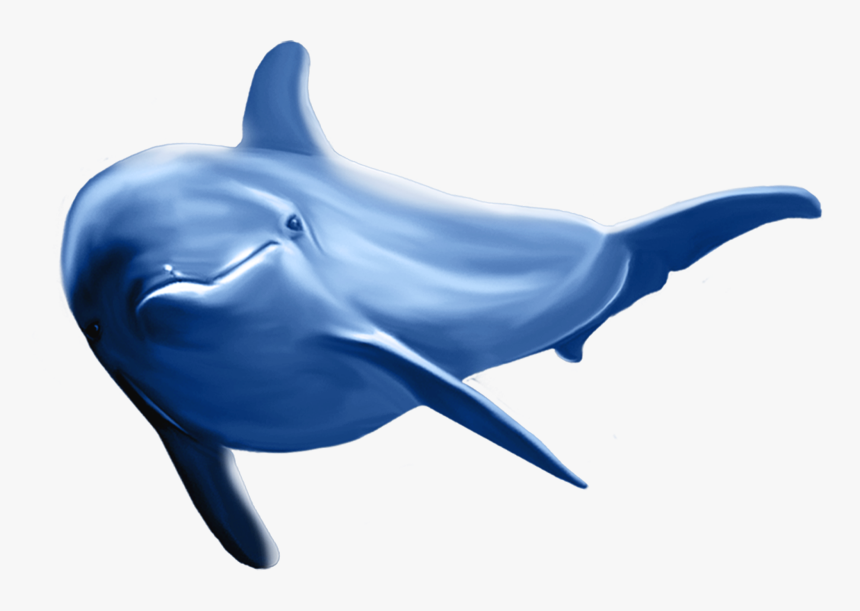 Detail Delfin Png Nomer 20