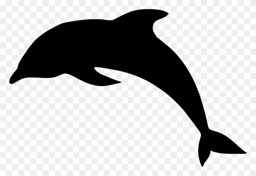 Detail Delfin Png Nomer 22