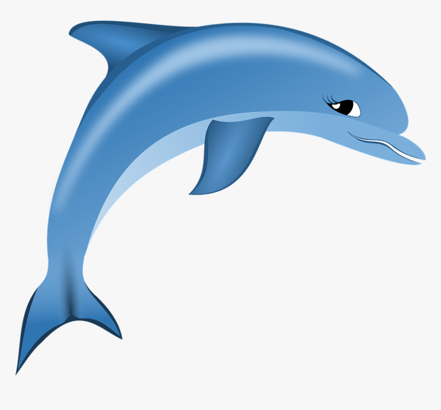 Detail Delfin Png Nomer 3