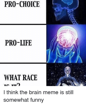 Detail Exploding Brain Meme Template Nomer 11