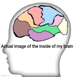 Detail Exploding Brain Meme Template Nomer 15