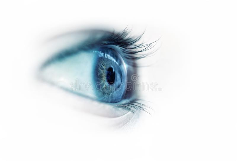 Detail Eye Background Nomer 23