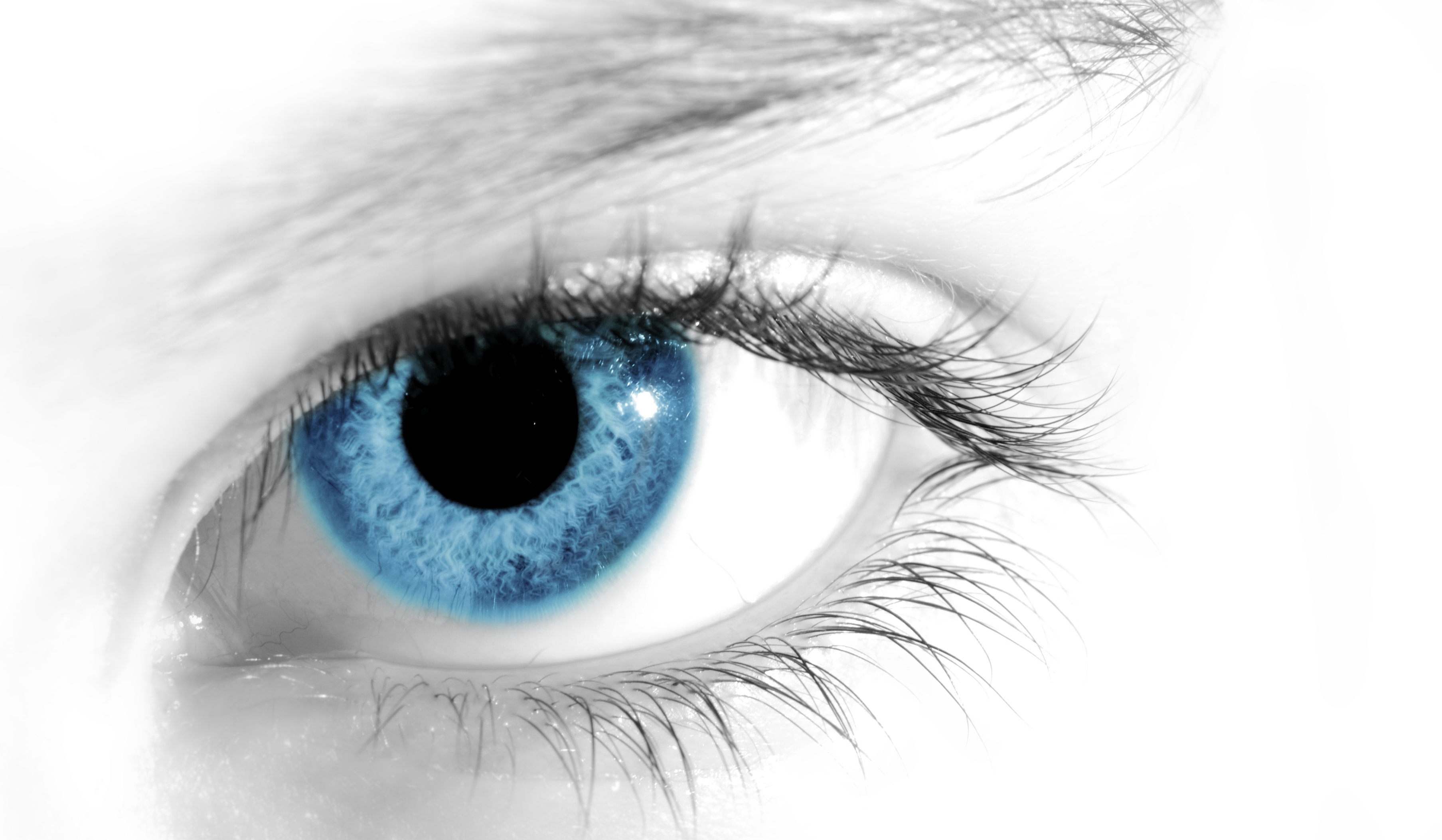 Detail Eye Background Nomer 57