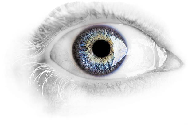 Detail Eye Background Nomer 9