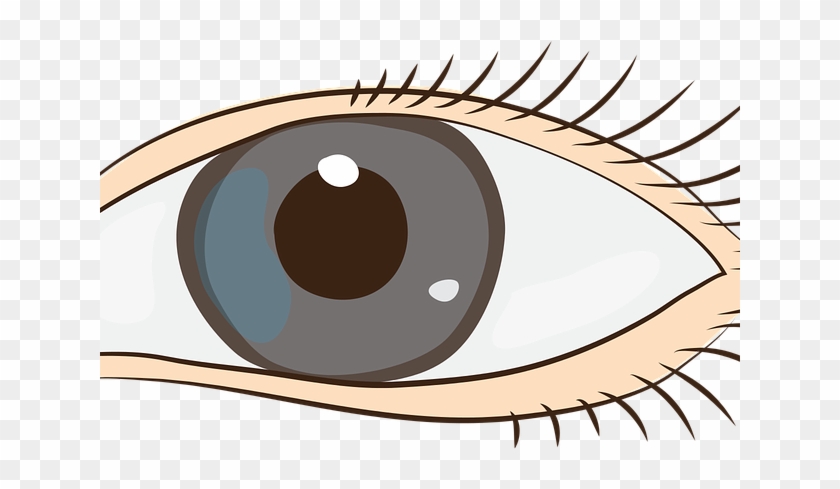 Detail Eye Clipart Png Nomer 29