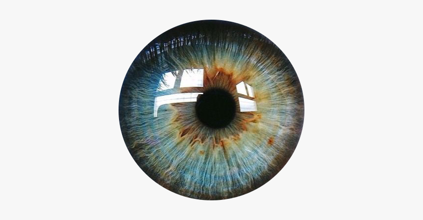 Eye Color Png - KibrisPDR