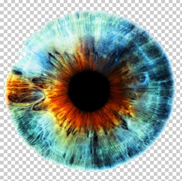 Detail Eye Color Png Nomer 10