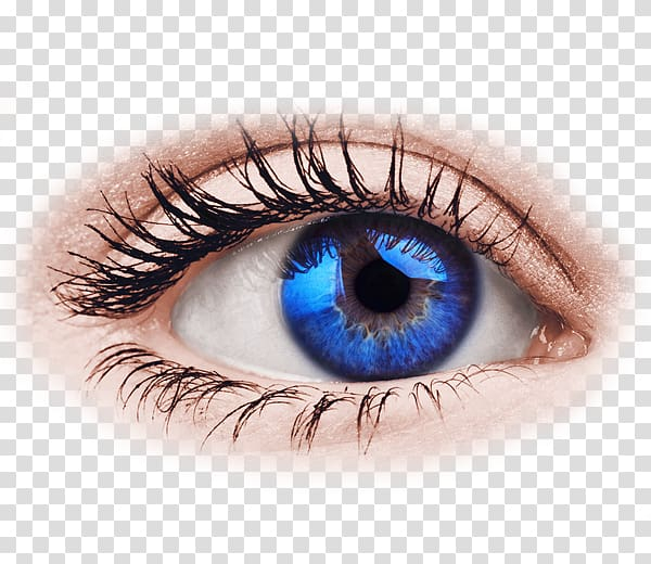 Detail Eye Color Png Nomer 52