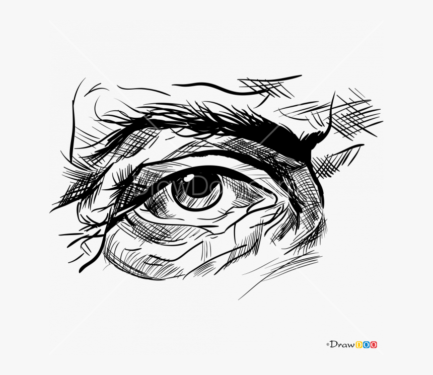 Detail Eye Drawing Png Nomer 28