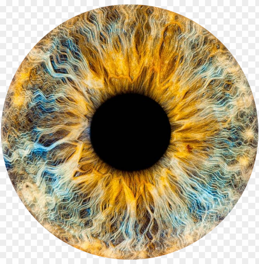 Detail Eye Iris Png Nomer 5