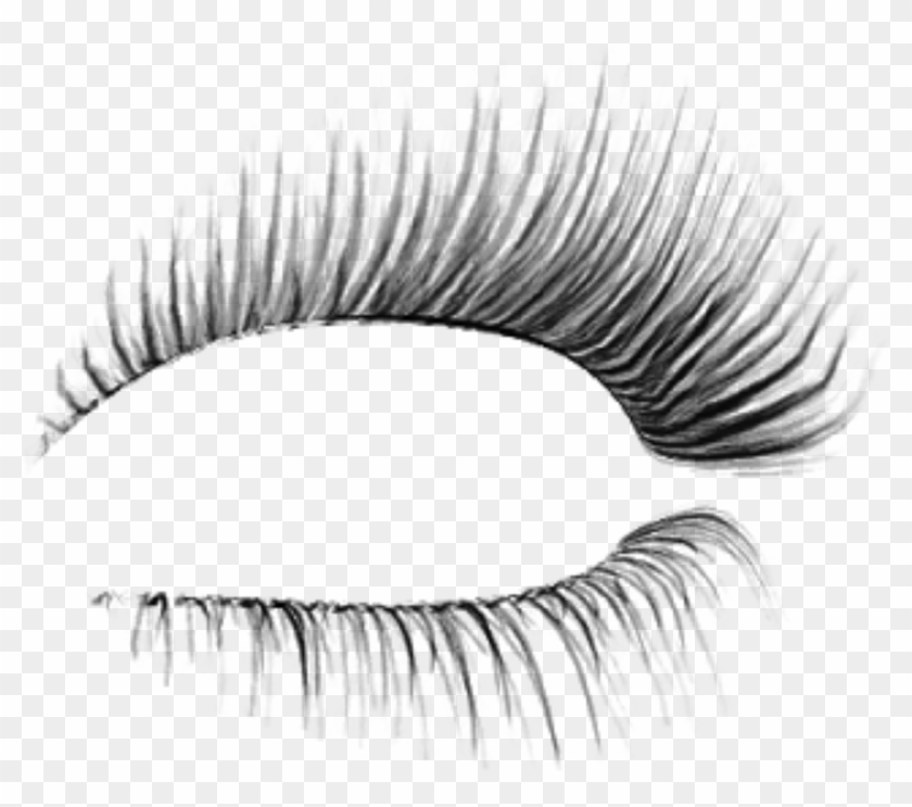 Detail Eye Lashes Png Nomer 20