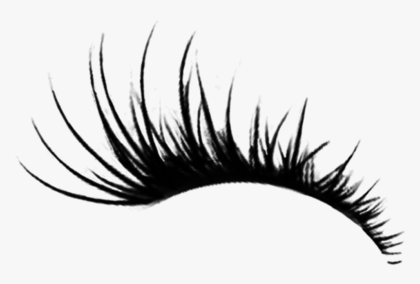 Detail Eye Lashes Png Nomer 3