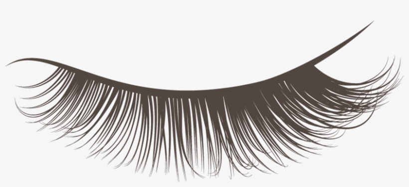 Detail Eye Lashes Png Nomer 24