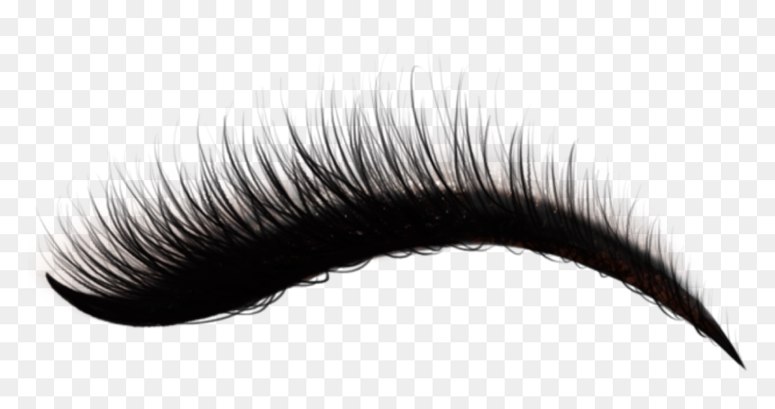 Detail Eye Lashes Png Nomer 30