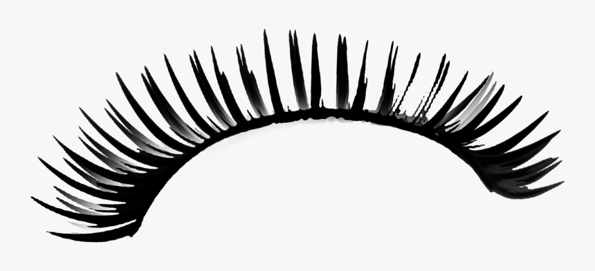 Detail Eye Lashes Png Nomer 37