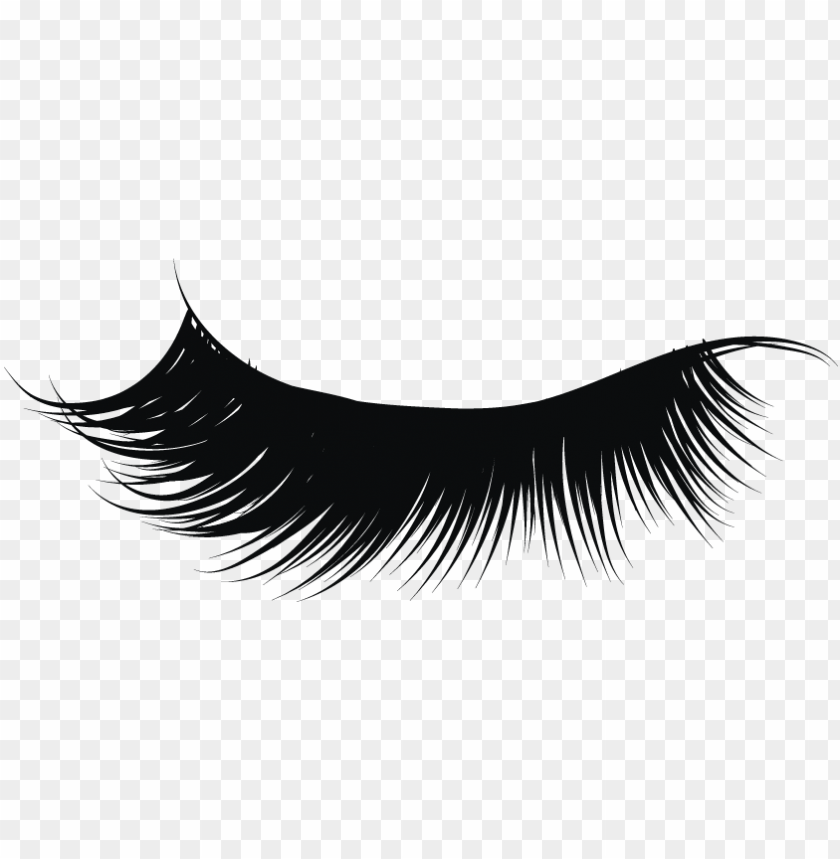 Detail Eye Lashes Png Nomer 6