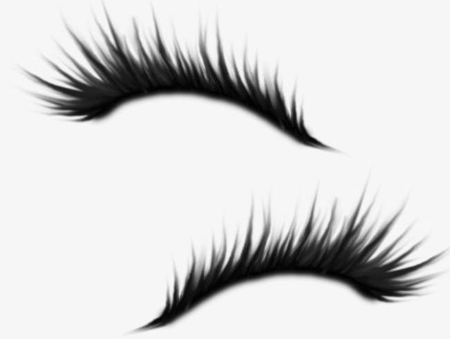 Detail Eye Lashes Png Nomer 51