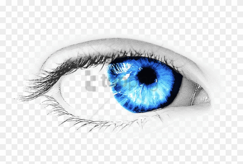 Detail Eye No Background Nomer 9