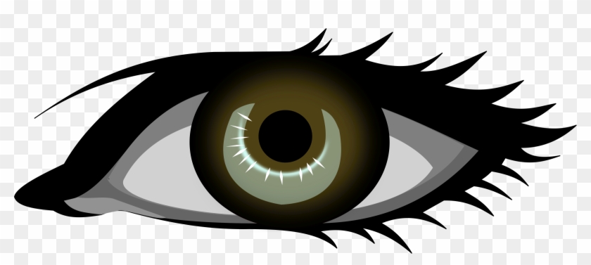 Detail Eye No Background Nomer 22