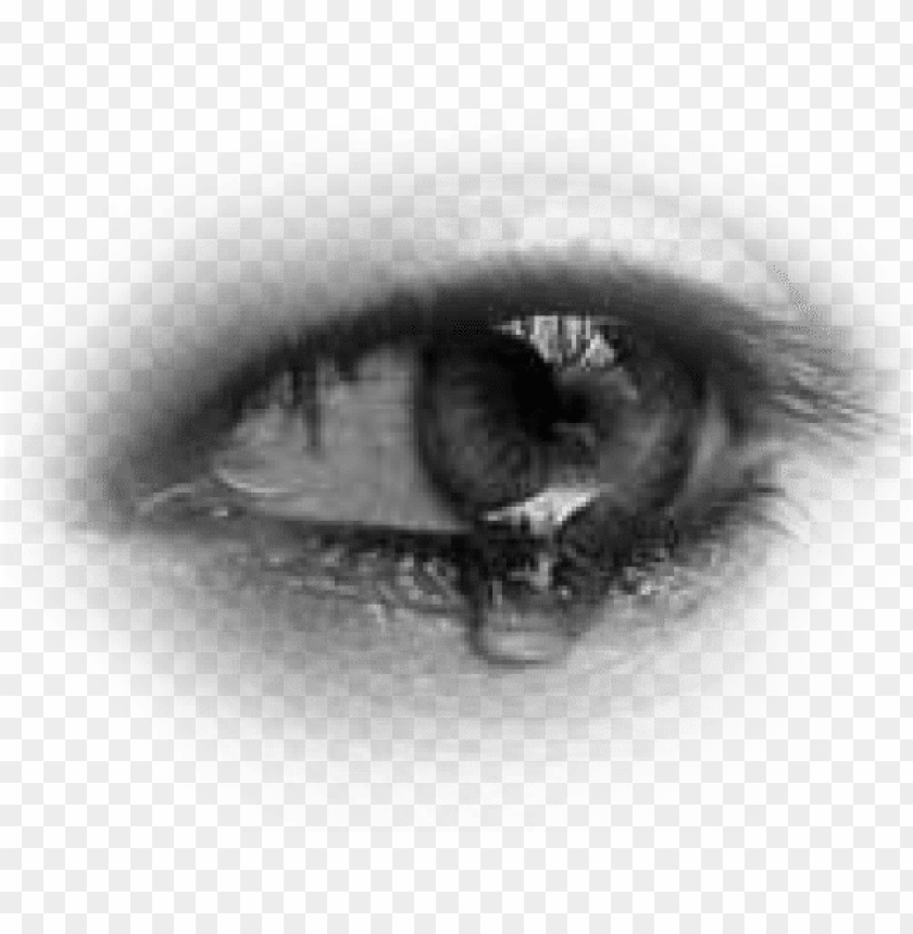Detail Eye No Background Nomer 33