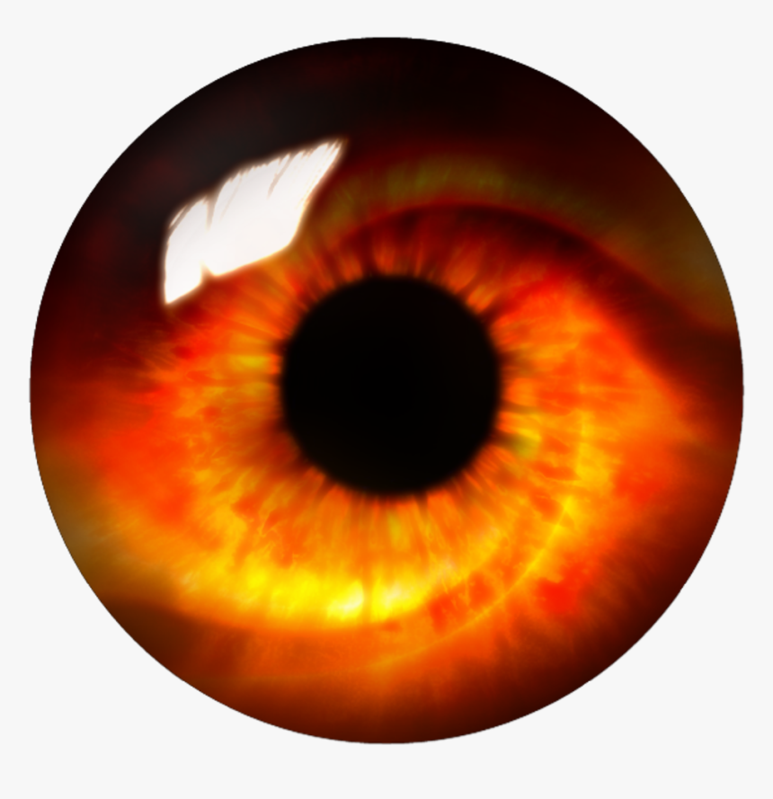 Detail Eye No Background Nomer 46