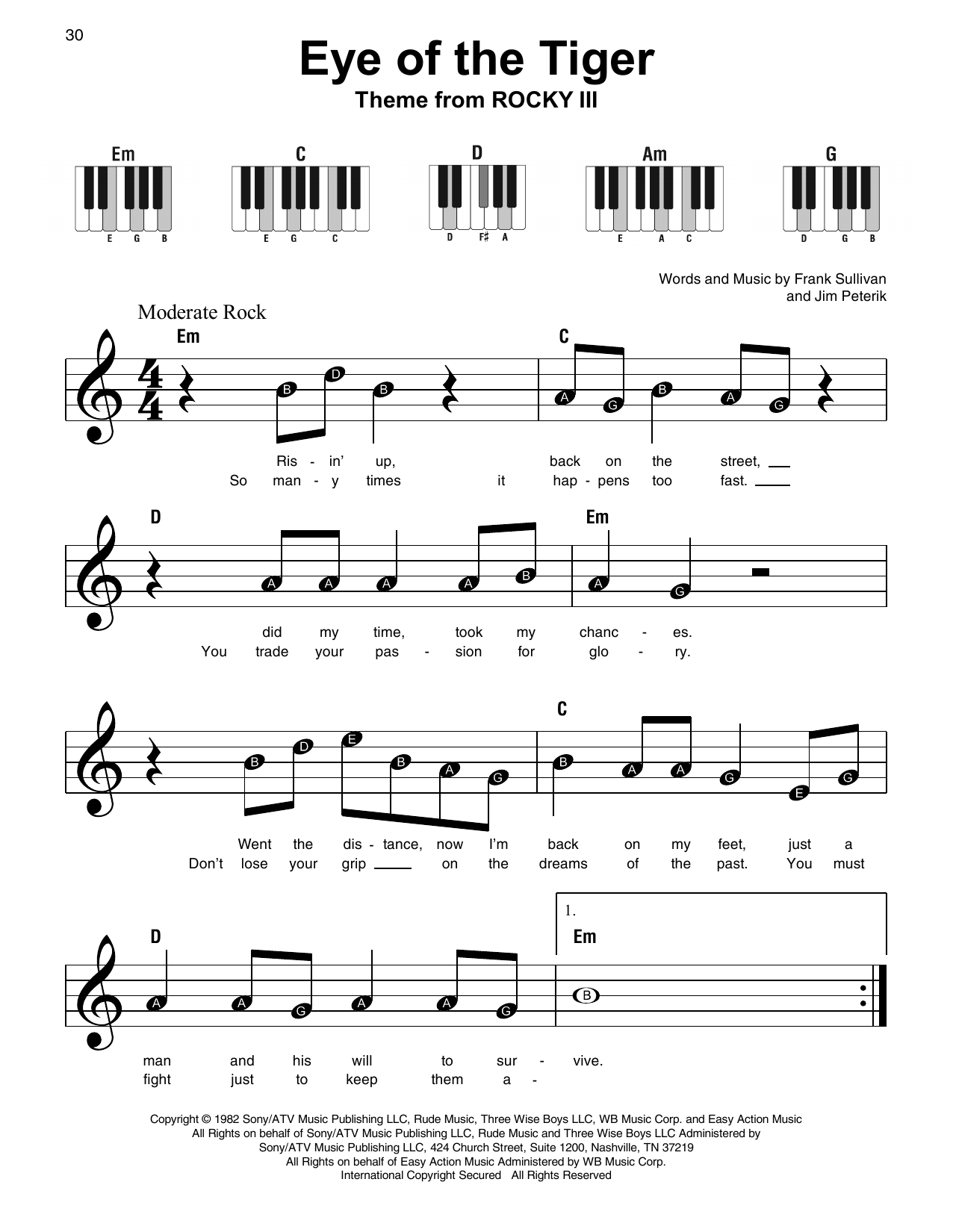 Detail Eye Of The Tiger Flute Notes Nomer 18