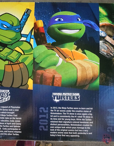 Detail Eye Socket Ninja Turtles Nomer 11