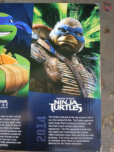 Detail Eye Socket Ninja Turtles Nomer 27