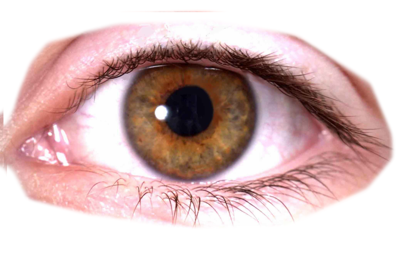 Eye Transparent - KibrisPDR
