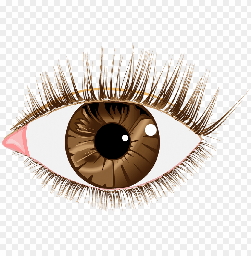 Detail Eye Transparent Nomer 19