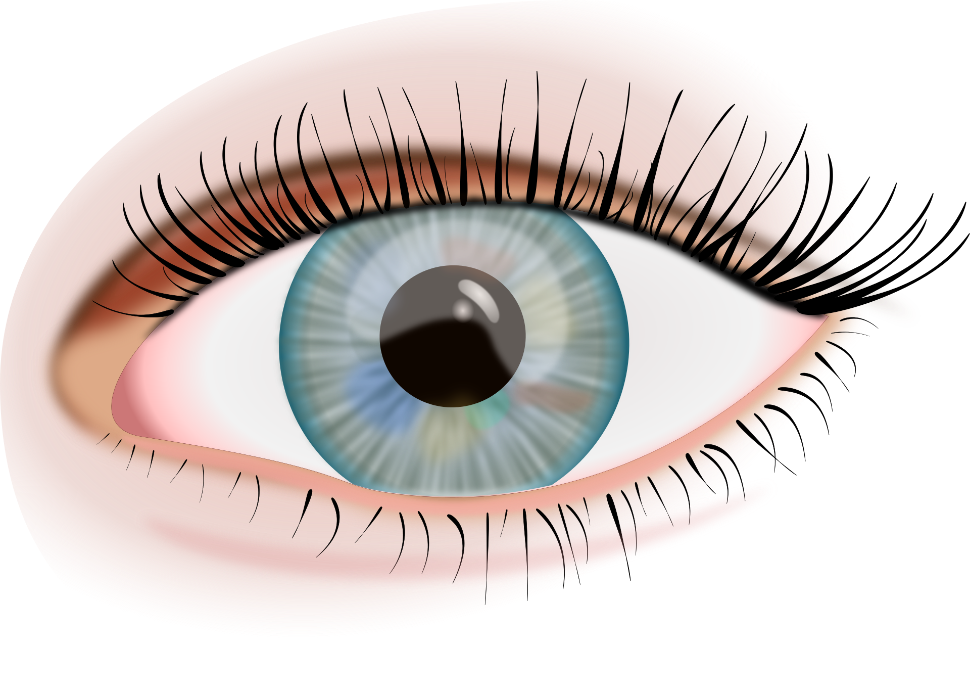 Detail Eye Transparent Nomer 28