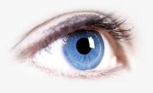 Detail Eye Transparent Nomer 30