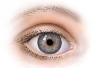 Detail Eye Transparent Nomer 33