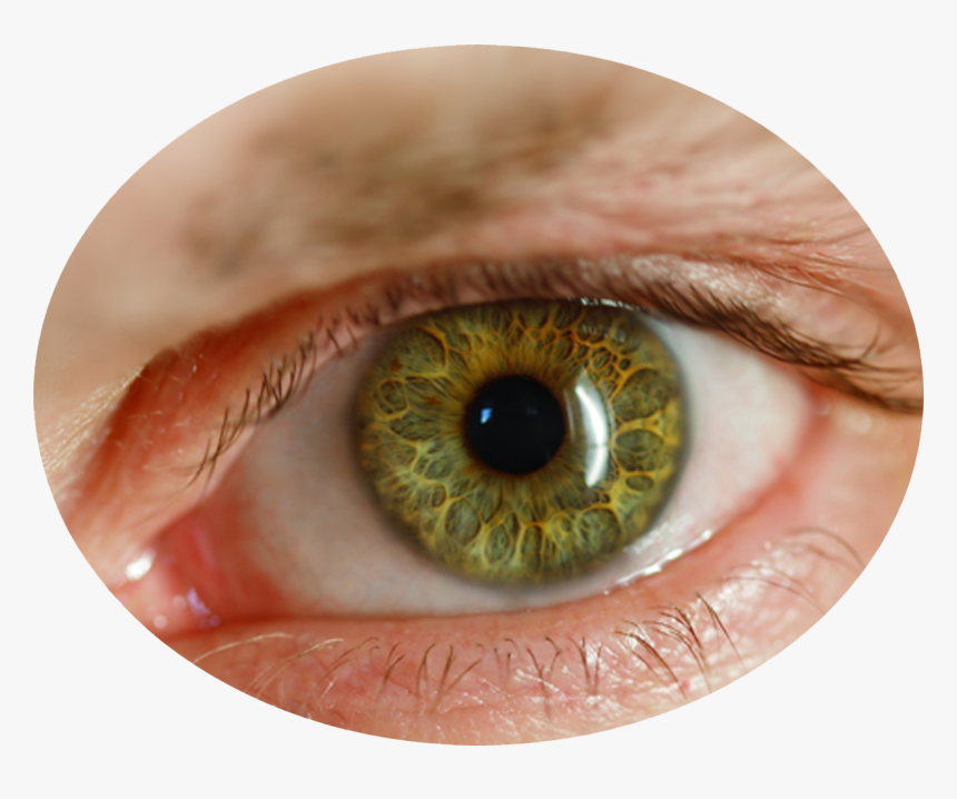 Detail Eye Transparent Background Nomer 17