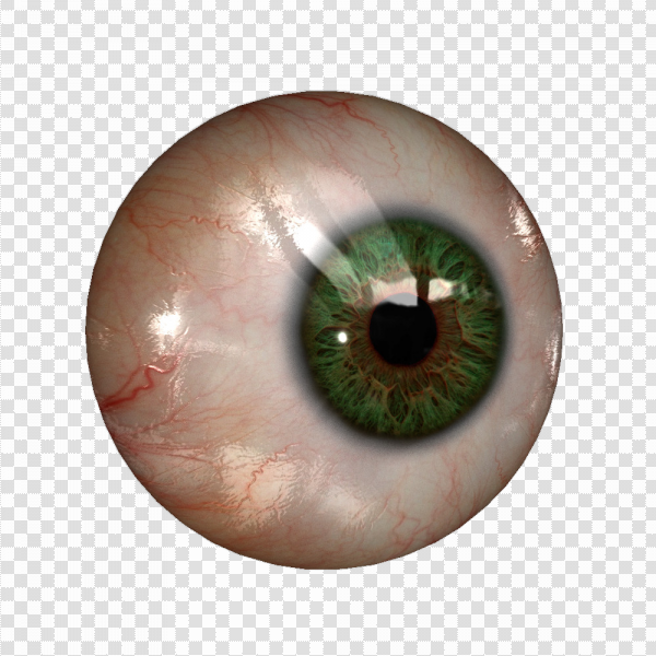 Detail Eye Transparent Background Nomer 8