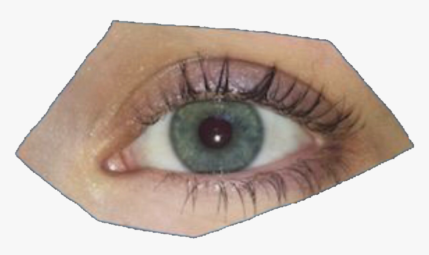 Detail Eye Transparent Png Nomer 36