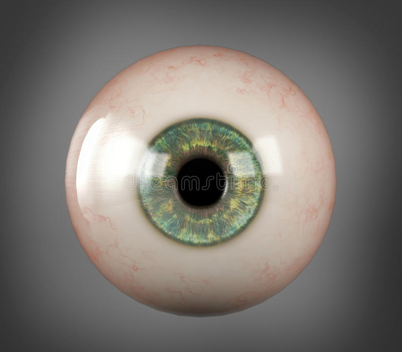 Eyeball Images Free - KibrisPDR