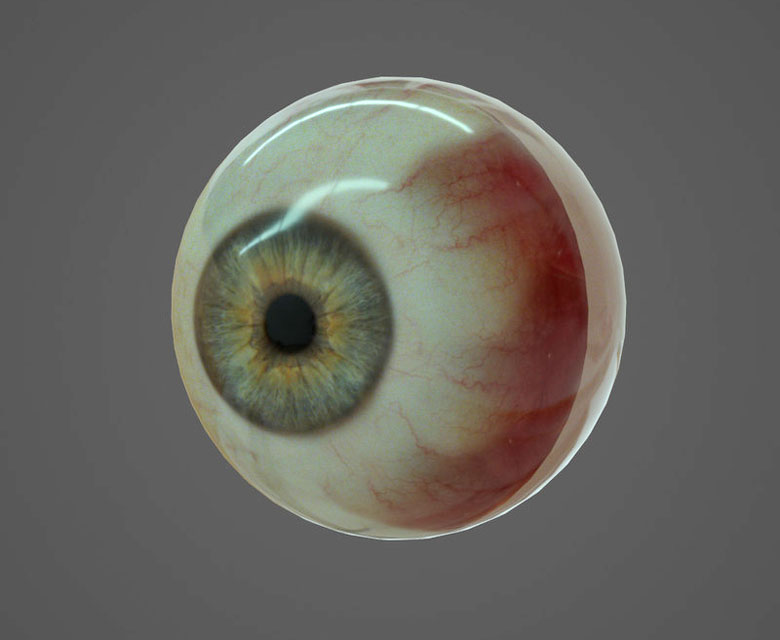 Detail Eyeball Images Free Nomer 14