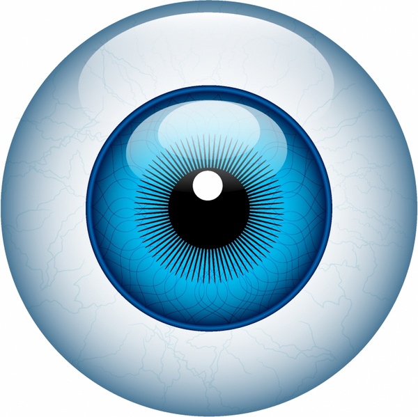 Detail Eyeball Images Free Nomer 4