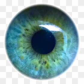 Detail Eyeball Png Nomer 45