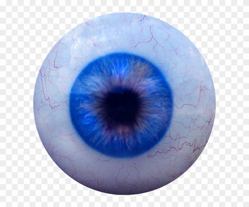 Detail Eyeball Transparent Background Nomer 11