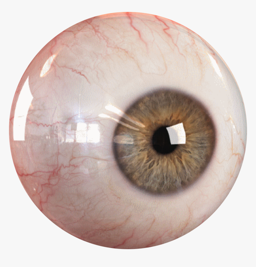 Detail Eyeball Transparent Background Nomer 14