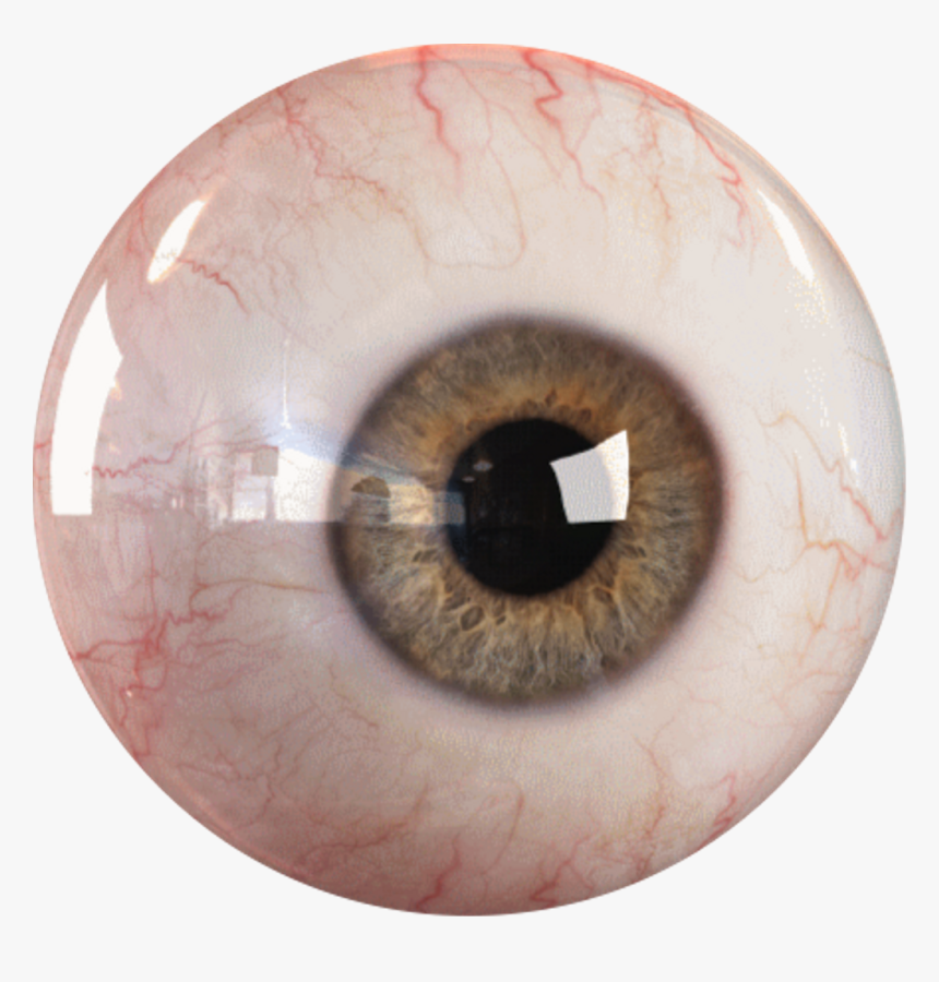 Detail Eyeball Transparent Background Nomer 17