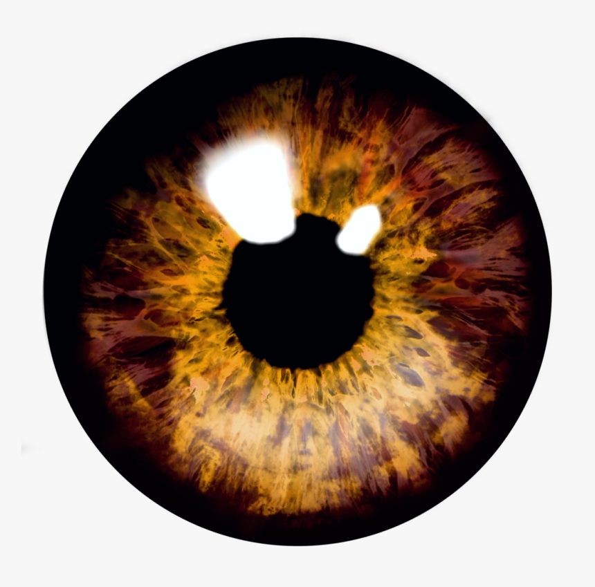 Detail Eyeball Transparent Background Nomer 18