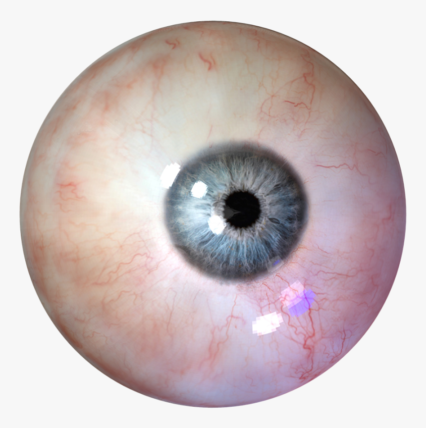 Detail Eyeball Transparent Background Nomer 3