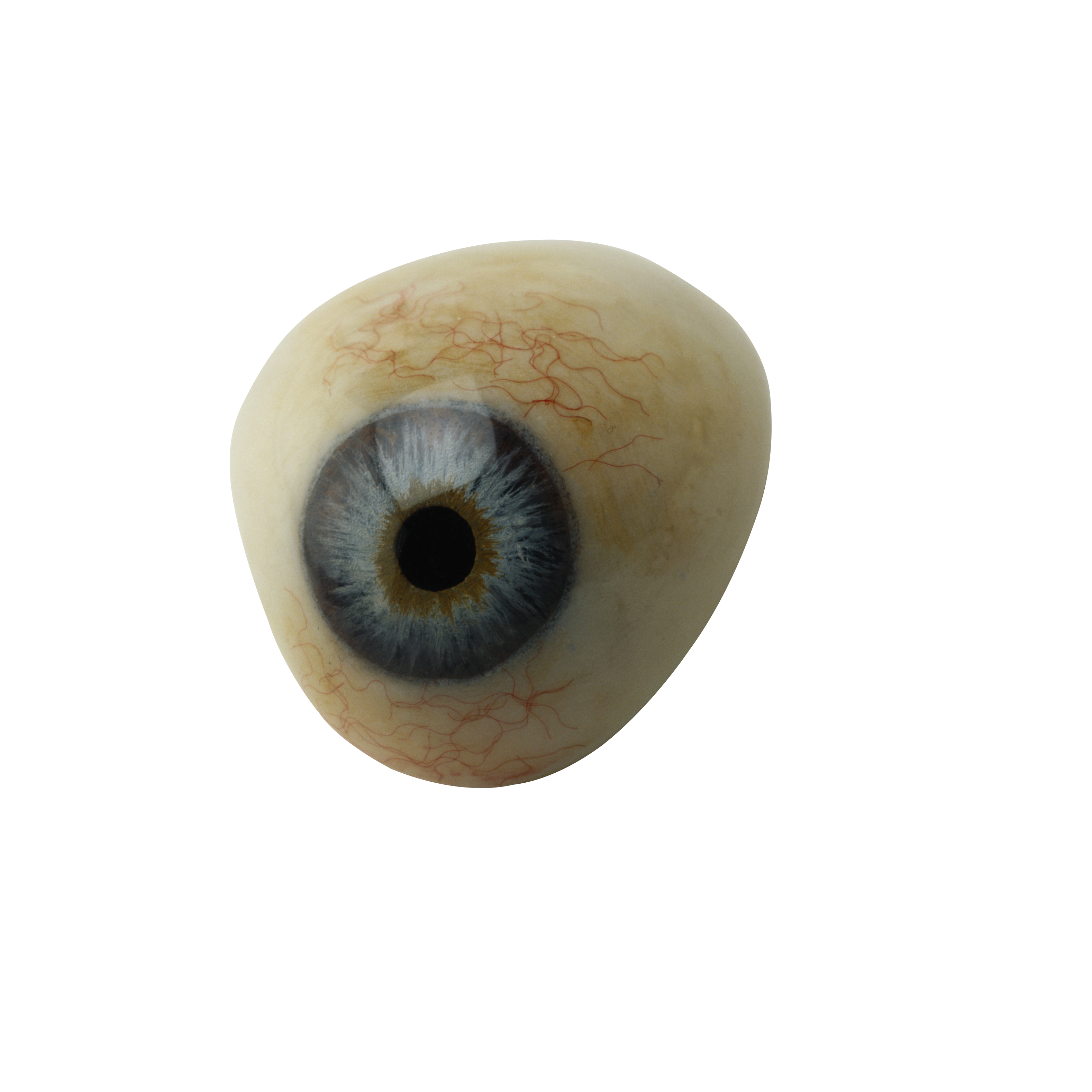 Detail Eyeball Transparent Background Nomer 25