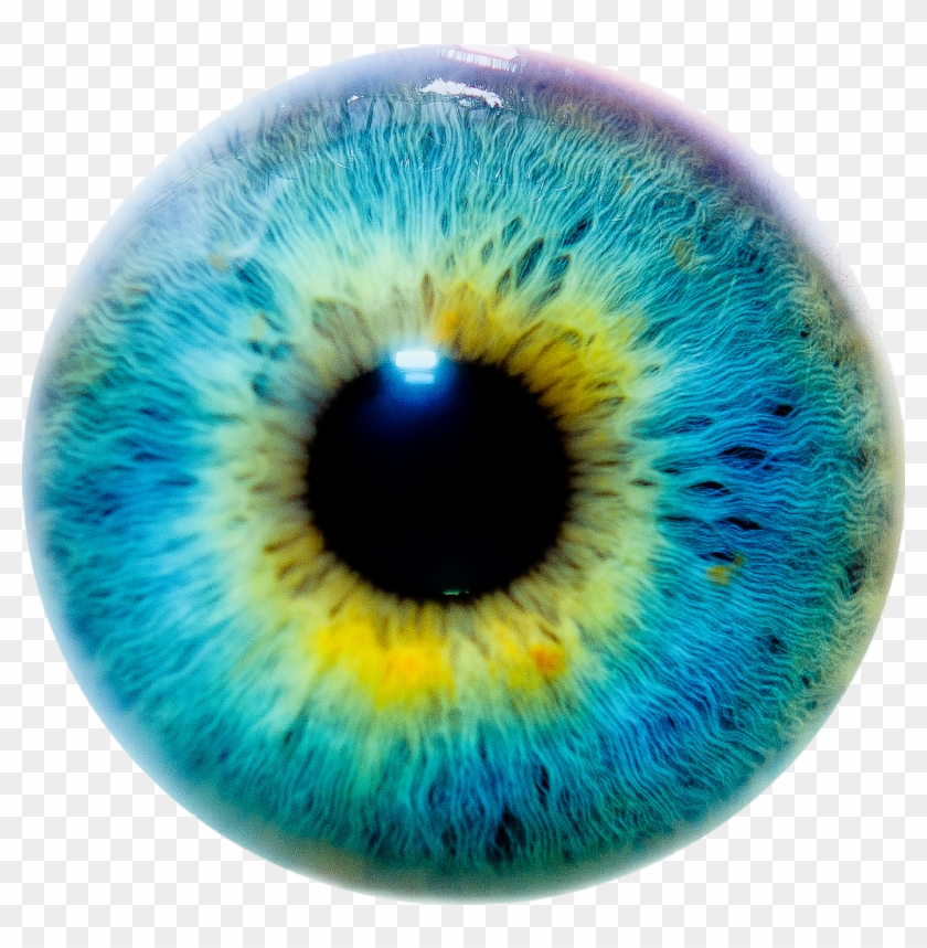 Detail Eyeball Transparent Background Nomer 30