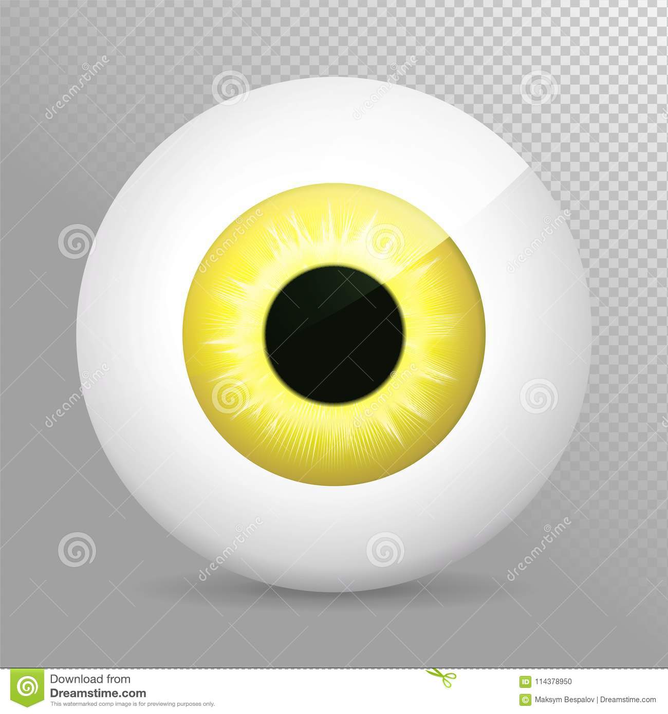 Detail Eyeball Transparent Background Nomer 48