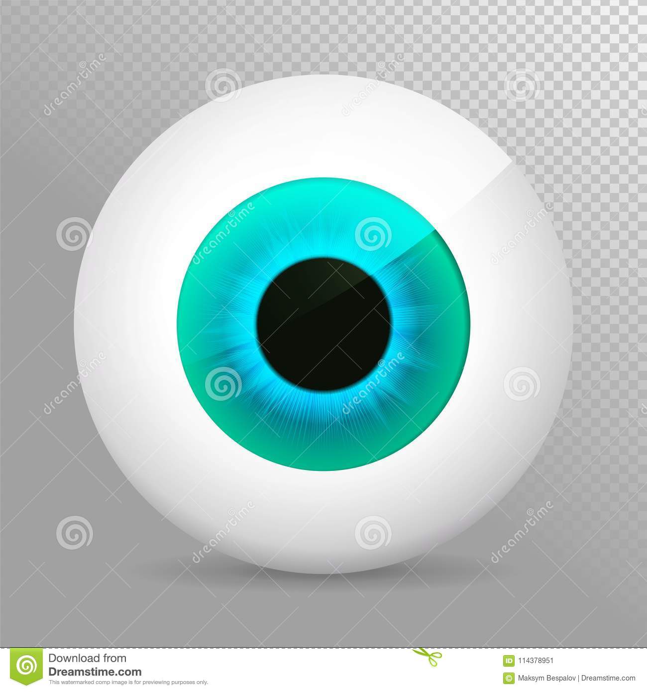 Detail Eyeball Transparent Background Nomer 51