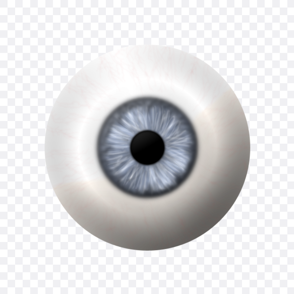 Detail Eyeballs Png Nomer 11